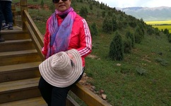 欧美99久久无码一区人妻A片